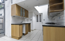 Ballingham kitchen extension leads
